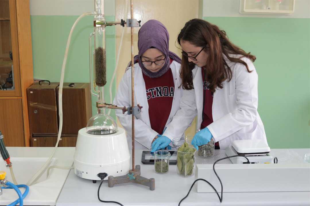 Defneyapra%C4%9F%C4%B1,+ada%C3%A7ay%C4%B1+ve+biberiyeden+plastik+%C3%BCrettiler Defneyapra%C4%9F%C4%B1,+ada%C3%A7ay%C4%B1+ve+biberiyeden+plastik+%C3%BCrettiler