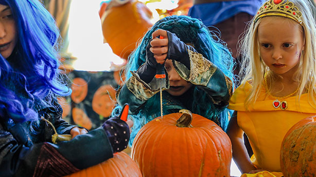 Cadilar Bayrami Nedir Neden Kutlaniyor 31 Ekim Happy Halloween Ne Demek Ne Anlama Geliyor Iste Tarihcesi