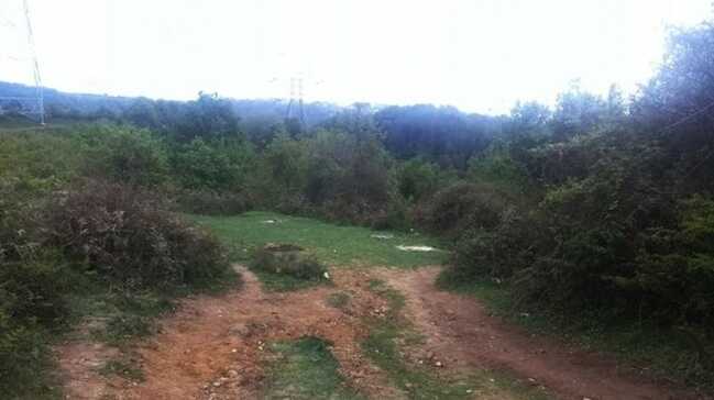 Sarıyer'de ormanlık alanda yanmış ceset bulundu