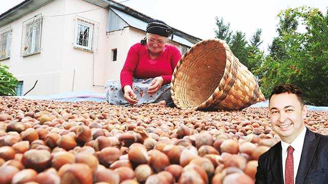 Türkiye’nin fındık üretimindeki yerini dolduracak ülke yok