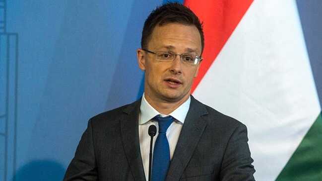 Macaristan'dan Almanya Cumhurbaşkanı Steinmeier'e tepki: Macarların verdiği kararı kabullenemiyorlar