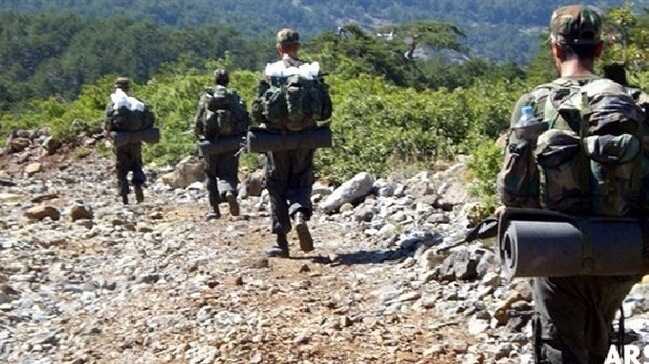 Diyarbakır'ın Lice ve Hani ilçelerinde terör örgütü PKK'ya yönelik operasyon başlatıldı