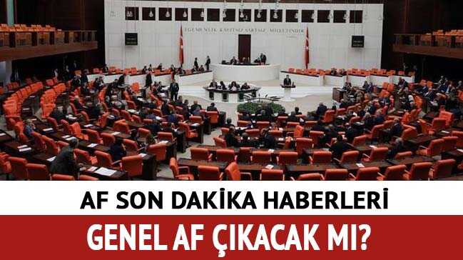 Başkan Erdoğan'dan af açıklaması