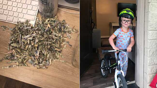 ABD'de 2 yaşındaki çocuk ailesinin birikimi olan bin doları kağıt imha makinesine attı