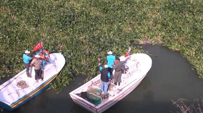 Lübnan'dan gelen su canavarları, Asi Nehri’ni kapladı