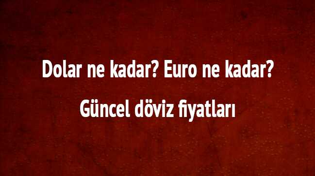 18 Aralık dolar euro kaç TL"