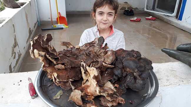 Bodrum'da bulunan 5 kilo 700 gramlık mantar şaşırttı