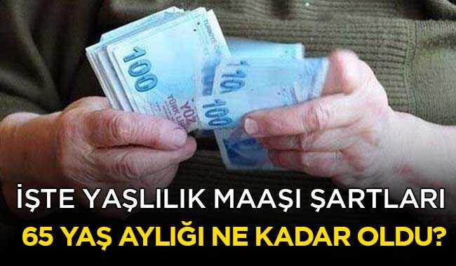 65+ya%C5%9F+ayl%C4%B1%C4%9F%C4%B1+art%C4%B1yor