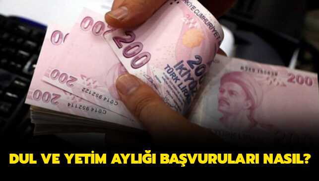 Dul+ve+yetim+ayl%C4%B1%C4%9F%C4%B1+nedir%E2%80%99+Dul+ve+yetim+ayl%C4%B1%C4%9F%C4%B1+ba%C5%9Fvurular%C4%B1+nas%C4%B1l%E2%80%99