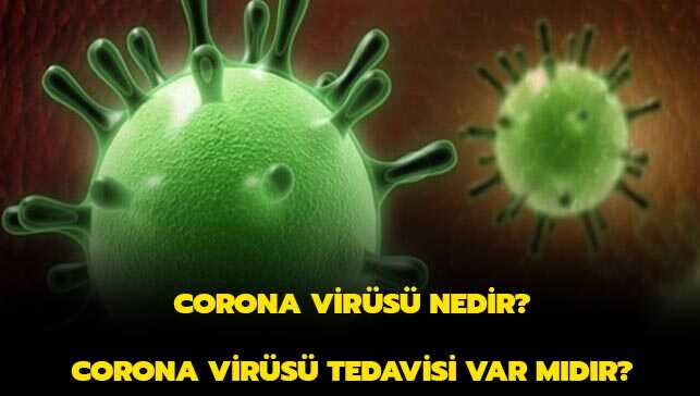 Corona+vir%C3%BCs%C3%BC+nedir%E2%80%99+Nas%C4%B1l+ge%C3%A7er%E2%80%99+Tedavisi+var+m%C4%B1d%C4%B1r%E2%80%99+