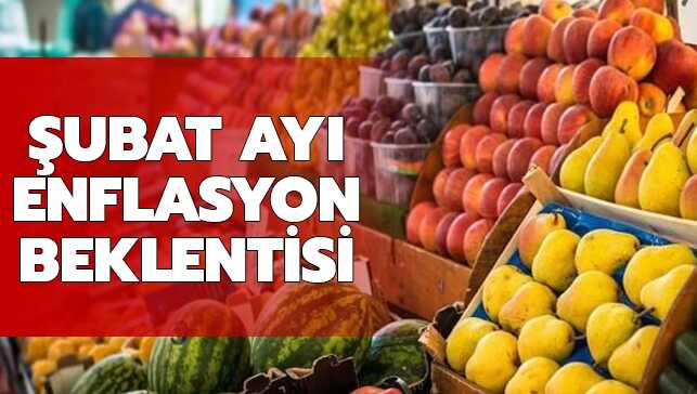 T%C3%BC%C4%B0K+%C5%9Eubat+ay%C4%B1+enflasyon+oran%C4%B1+ne+zaman+a%C3%A7%C4%B1klanacak%E2%80%99+%C4%B0%C5%9Fte+beklenti+anketi