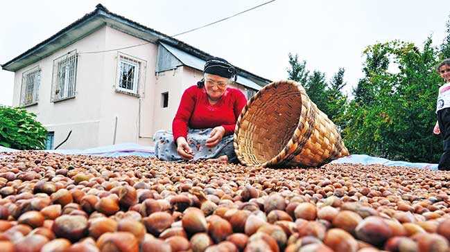 Ferrero'dan 26 bin üreticiye 'izlenebilir tarım' eğitimi