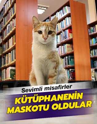 Halk k�t�phanesinin 'sevimli' misafirleri