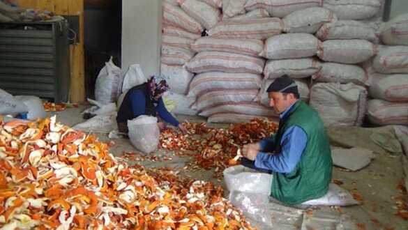 Portakalın kilosu 1 lira kabuğu 6 lira