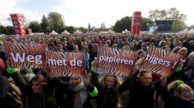Hollanda'da binlerce öğretmen greve gitti