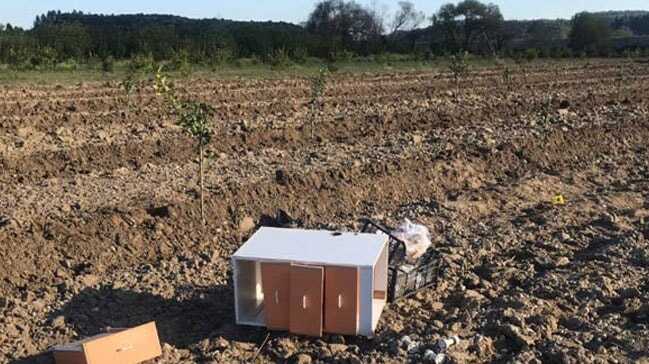 Antalya’da arazi anlaşmazlığında kan aktı: 2 kişi ölü, 1 kişi yaralı